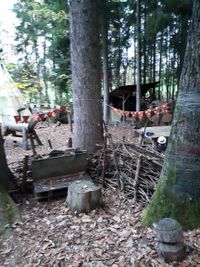 Wald Sitzecke